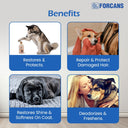 Forcans/Forbis