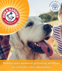 Arm & Hammer