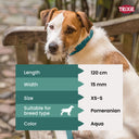 Trixie Premium lead, XS–S: 1.20 m/15 mm, aqua