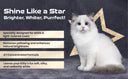 Bio-Groom Purrfect White Conditioning Shampoo for Cats | Coat Brightener | Protein & Coconut Oil | No Bleach | 236 ml