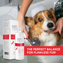Soft Care Skin Balance Shampoo for Dogs & Cats – 300 ml | Controls Oiliness, Reduces Flaking & Deeply Moisturises