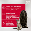 Soft Care Skin Balance Shampoo for Dogs & Cats – 300 ml | Controls Oiliness, Reduces Flaking & Deeply Moisturises