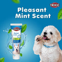 Trixie Dog Toothpaste with Mint, 100 gm