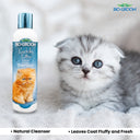 Bio-Groom Kuddly Kitty Tearless Kitten Shampoo | Gentle, Safe & Non-Irritating | Sensitive Skin | 236 ml