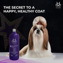 Hydra Groomers Silky Smooth Shampoo for Dogs & Cats | Amino Acid Formula | 4:1 Concentrate | Long & Straight Coats | 1 L