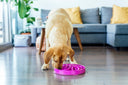 Outward Hound Fun Feeder Mini/Medium Slow Feed Bowl – Purple | 2 Cup Capacity | Slows Eating Up to 10x | For Small to Medium Dogs