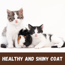 Bio-Groom Purrfect White Conditioning Shampoo for Cats | Coat Brightener | Protein & Coconut Oil | No Bleach | 236 ml
