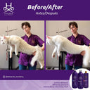 Hydra Groomers Whitening Shampoo for Dogs & Cats | Oatmeal & Jasmine | Bleach-Free Brightening | pH Balanced | 1 L