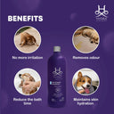 Hydra Groomers Whitening Shampoo for Dogs & Cats | Oatmeal & Jasmine | Bleach-Free Brightening | pH Balanced | 1 L