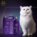 Hydra Groomers Whitening Shampoo for Dogs & Cats | Oatmeal & Jasmine | Bleach-Free Brightening | pH Balanced | 1 L