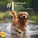 Burt's Bees Dog Shampoo for Itchy Skin | Honeysuckle & Honey | pH-Balanced | 95%+ Natural | No Sulphates | 473 ml