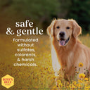 Burt's Bees Dog Shampoo for Itchy Skin | Honeysuckle & Honey | pH-Balanced | 95%+ Natural | No Sulphates | 473 ml