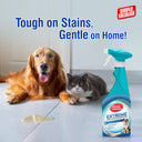Simple Solution Extreme  Dog Stain & Odor Remover, 500 ml