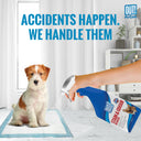 Out! Dog Stain & Odour Remover, 750 ml