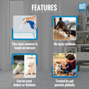 Out! Dog Stain & Odour Remover, 750 ml