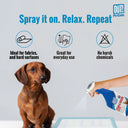 Out! Dog Stain & Odour Remover, 750 ml