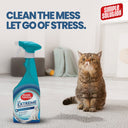 Simple Solution Cat Stain & Odor Remover, 500ml
