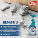 Simple Solution Cat Stain & Odor Remover, 500ml