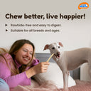 Novee Milky Chew Goat Milk Stick, 500 gm.