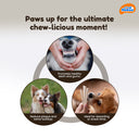 Novee Milky Chew Goat Milk Stick, 500 gm.