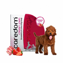 Caredom Clean Pet Strawberry Dog Soap – 75 g | Transparent Glycerine Bar | Deep Cleansing, Hydrating & Deodorising