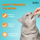 Kittos Chicken Jerky Strips Cat Treat, 35 gm