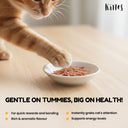 Kittos Snapper Jerky Strips Cat Treat, 35 gm