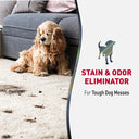 Nature's Miracle Advanced Stain & Odour Eliminator for Dogs – 946 ml | Enzymatic Formula for Severe Messes | Discourages Re-Soiling