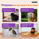 Pawpaya Pee Lock Super Absorb Powder, 150gm New