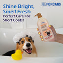 Forbis/Forcans Short Coat Aloe Shampoo, 750 ml