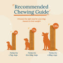 Zazu & Co Pumpkin Himalayan Yak Chew for Dogs | Long-Lasting Natural Chew | High-Protein, Gluten-Free & Grain-Free | No Preservatives