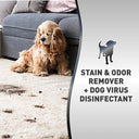 Nature's Miracle Advanced Platinum Stain & Odour Remover & Virus Disinfectant for Dogs – 946 ml | Kills 99.9% of Dog Viruses | No Rinsing Required