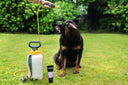 Animology Flea & Tick Dog Shampoo – 250 ml | Tea Tree & Neem Oil | Soothes Irritated Skin & Washes Out Fleas & Ticks