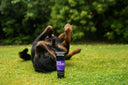 Animology True Colours Colour Enhancing Dog Shampoo – 250 ml | Optical Enhancers for a Radiant Coat | All Coat Colours