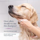 Veterinary Formula Clinical Care Antiparasitic & Antiseborrheic Medicated Dog Shampoo | Coal Tar & Salicylic Acid | Paraben & Soap-Free | 473 ml