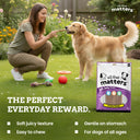 All That Matters Chicken Jerky Dog Treats – 70 g | Grain-Free, High-Protein | No Preservatives | Soft Training Snacks
