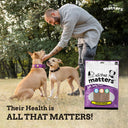 All That Matters Chicken Jerky Dog Treats – 70 g | Grain-Free, High-Protein | No Preservatives | Soft Training Snacks