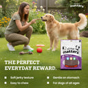 All That Matters Lamb Recipe Dog Treats – 70 g | High-Protein | Soft Training Snacks