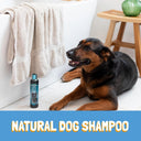 Bio-Groom Ultra Black Colour Enhancing Shampoo for Dogs – 355 ml | Pearlescent Brighteners | Intensifies Black, Charcoal & Dark Coats