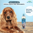 Bio-Groom So-Dirty Deep Cleansing Shampoo for Dogs – 355 ml | Removes Dirt, Grime & Odour