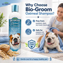 Bio-Groom Natural Oatmeal Soothing Shampoo for Dogs – 355 ml | pH-Balanced, Biodegradable Formula