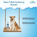 Bio-Groom Groom 'N Fresh Odor Eliminating Shampoo for Dogs – 355 ml | Sulfate-Free, Conditioning Formula