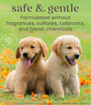 Burt’s Bees Oatmeal Dog Shampoo – 473 ml | All-Natural Formula with Colloidal Oat Flour & Honey