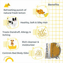 Caredom Clean Pet Lemon Dog Soap – 75 g | Transparent Glycerine Bar | Deep Cleansing, Odour Control & Natural Citrus Freshness