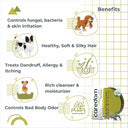 Caredom Clean Pet Neem Dog Soap – 75 g | Transparent Glycerine Bar | Neem & Aloe Vera | Antifungal, Antibacterial & Paraben-Free