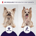 Hydra Groomers Volumizing Shampoo for Dogs & Cats – 5 L | Keratin & Wheat Protein | Professional 4:1 Concentrate | For Dense & Curly Coats