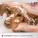 Hydra Groomers Volumizing Shampoo for Dogs & Cats – 5 L | Keratin & Wheat Protein | Professional 4:1 Concentrate | For Dense & Curly Coats