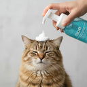 Moe Foam Wash Dry Shampoo for Cats & Kittens – 300 ml | No-Rinse, Waterless Formula with Aloe Vera & Oatmeal