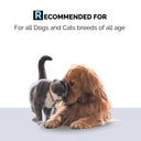 Moe Rinse Free Dry Shampoo for Dogs & Cats 150 ml | No-Rinse Waterless Formula | 98.5% Natural Ingredients