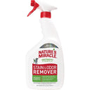 Nature's Miracle Stain & Odour Remover for Dogs – 709 ml | Enzymatic Formula | Removes Urine, Feces, Vomit & Drool